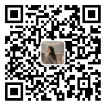 1758080304712689T4OO.png image.png